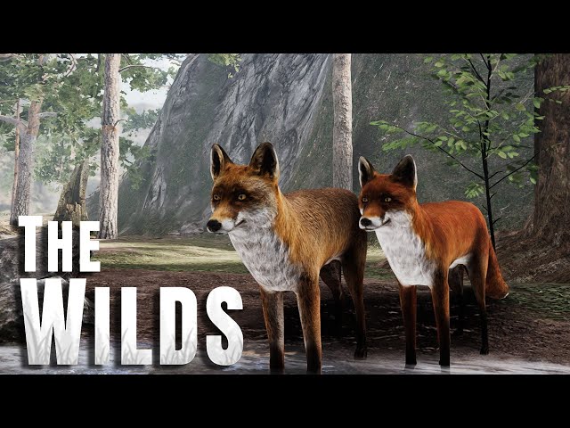Animals  The Wilds