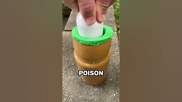 Facts That Will Save Your Life 👀