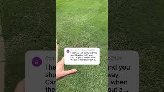 Does Ammonium Sulfate Need To Be Watered In Right Away?