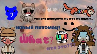 какой у меня новый питомец? :Мафи тока:Тока бока:Mafy Toca:Toca Live World: