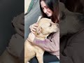 Couple Celebrates Valentine’s Day By Saving Two Euth Listed Dogs | The Dodo
