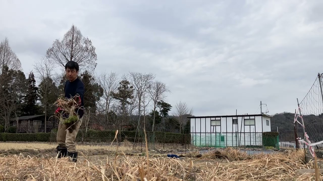 令和8年2月24日。2回目の畑作り