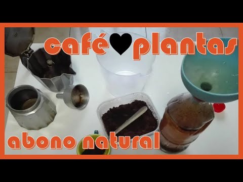 🌱 Fertilizante natural con posos de café, NITRÓGENO 🌱