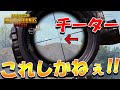 【PUBG MOBILE】日本代表とチーター撃破!?チーターを倒す残された唯一の方法とは…【チーター狩り】