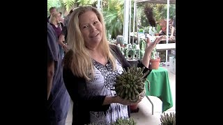 Succulent Shopping with Jeanne Meadow at the San Diego Cactus & Succulent Show