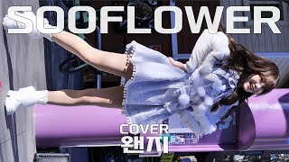 수련수련 왠지 Sooflower Cover 241222