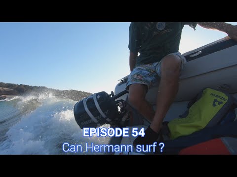 54 MAKE MY DAY - Can Hermann surf?