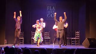 Flamenco Show In Madrid Spain