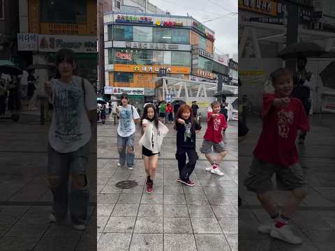 I WANNA <strong>BE</strong> YOUR SLAVE_random <strong>dance</strong>. #춤추는곰돌 #춤추는곰돌의랜덤댄스 #randomdance #랜덤댄스 #maneskin