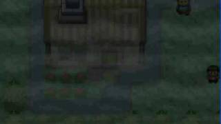 Celebrity Pokemon Ruby Hack1 Net Worth