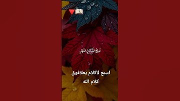 #egzonibrahimi #سورة_الإخلاص #ikhlas #اسلام_صبحي #اكسبلور #الرحمن #تلاوة_خاشعة #لايك #الظروف #ترند