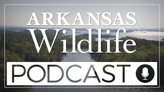 Arkansas Wildlife Podcast Ep. 82: The Legacy Lunker Program: A New Era for Arkansas Bass Fishing