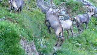 Switzerland Chamonix To Zinal 009