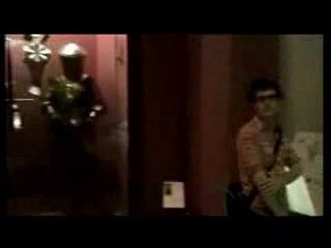 The City Lights - Here to Stay