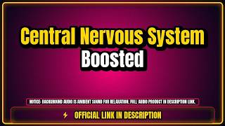 Central Nervous System Boosted - Zen Frequencies (Background Stream)