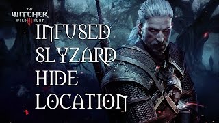 The Witcher 3 Infused Slyzard Hide Location - Plus Enriched Dimeritium Plates - From Merchant