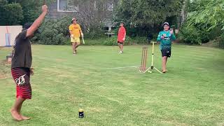 Australia Day Backyard Cricket 26/01/2024 #australia  #backyardcricket #cricket #maffeysgarden