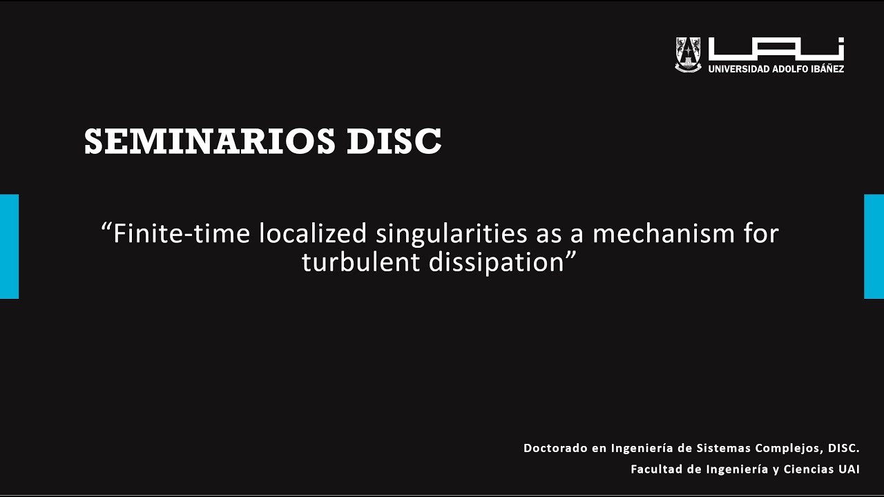 Seminarios DISC UAI | Finite-time localized singularities | (por Sergio Rica)