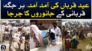 Eid-ul-Adha is the arrival of sacrificial animals everywhere - Special report - Aaj News