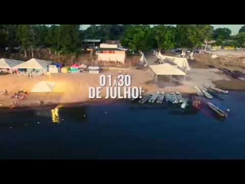 Pau D'Arco Tocantins fonte: i.ytimg.com