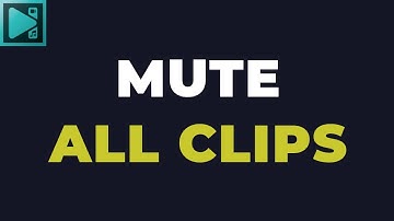VSDC Tutorial: Mute Audio of Multiple Videos