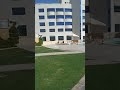 منتجع في داخل الكمبوند في سكندريه منتجع في داخل الكمبوند في سكندريه