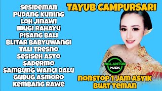 Tayub Cdanursari Nonstop 1 Jam Asyik Buat Teman Istirahat 