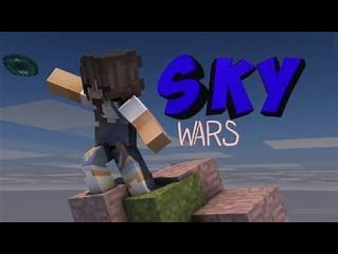 Vimeworld Sky Wars  PvP დამავიწყდა