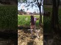 سهمك بالطالع نازل قلبي والع وعليك أنا مش عارفة اتلايم اكسبلور ترند لايك تيك توك سهمك بالطالع نازل قلبي والع وعليك أنا مش عارفة اتلايم اكسبلور ترند لايك تيك توك