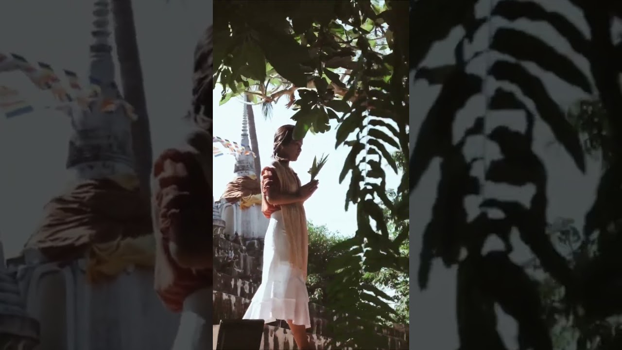 🚗💨 The Monk Who Sold His #Ferrari: From #Speed Demons to #Zen Masters! 🧘&zwj;♂️😂 PART 2