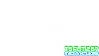 Klasky Csupo In Mosquito Effect In 4ormulator V31