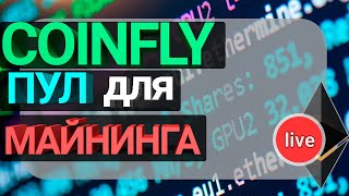 Стрим с пулом CoinFly