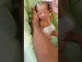 お父さん初沐浴 こうめ