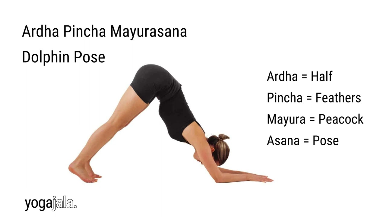 Makara Adho Mukha Svanasana (Dolphin Plank Pose) | Benefits of Makara Adho  Mukha Svanasana - The Art of Living