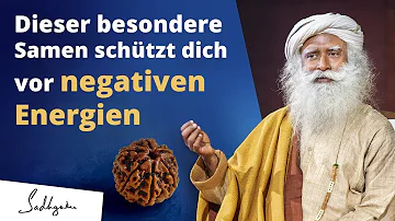 Welche Pflanzen gegen negative Energien?