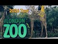 ZSL LONDON ZOO TOUR 2026 Explore The Animals At The London Zoo Part 1 