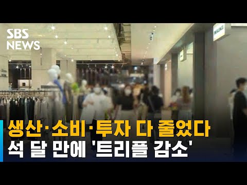 7월 소비 0.3%↓…1995년 이후 첫 5개월 <strong>연속</strong> 감소 / <strong>SBS</strong>