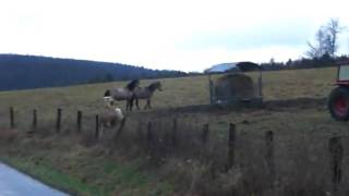 Bild 075.mov