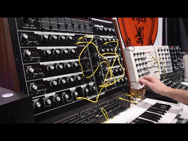 NAMM 2017: Analogue Solutions POLYMATH Synthesizer Sound Demo