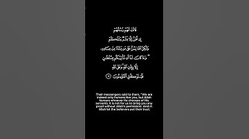 سورة إبراهيم الآية رقم 11 قَالَتْ لَهُمْ رُسُلُهُمْ إِن نَّحْنُ إِلاَّ بَشَرٌ مِّثْلُكُمْ