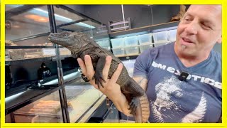 BIGGEST REPTILE SHOP IN MALAYSIA | EXOREPTILES