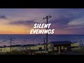 Silent evenings  music for relaxstudysleep  english sounds