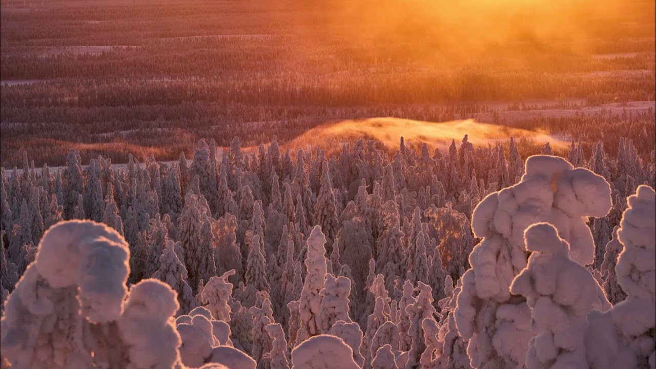 MESEČNI HOROSKOP ZA MART 2026 OD ZNAKA DEVICE DO RIBA