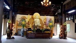 Thiền viện Trúc Lâm - Đà Lạt (có phụ đề)