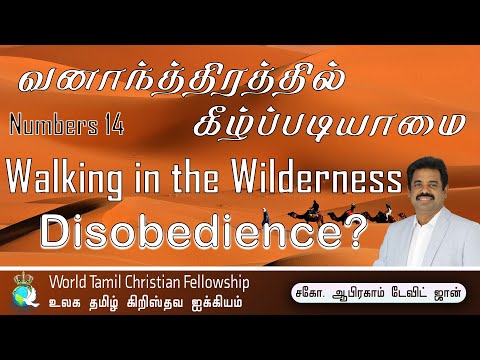 Walking in the wilderness- Disobedience