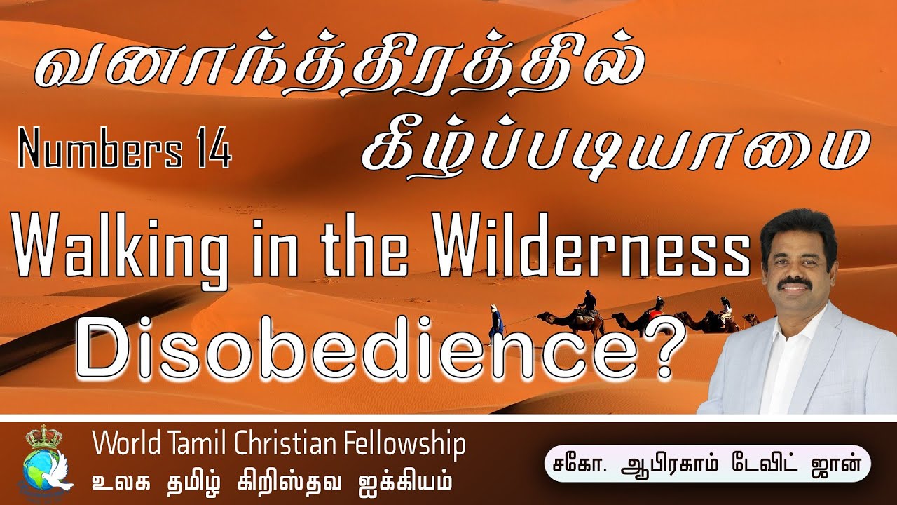 Walking in the wilderness- Disobedience