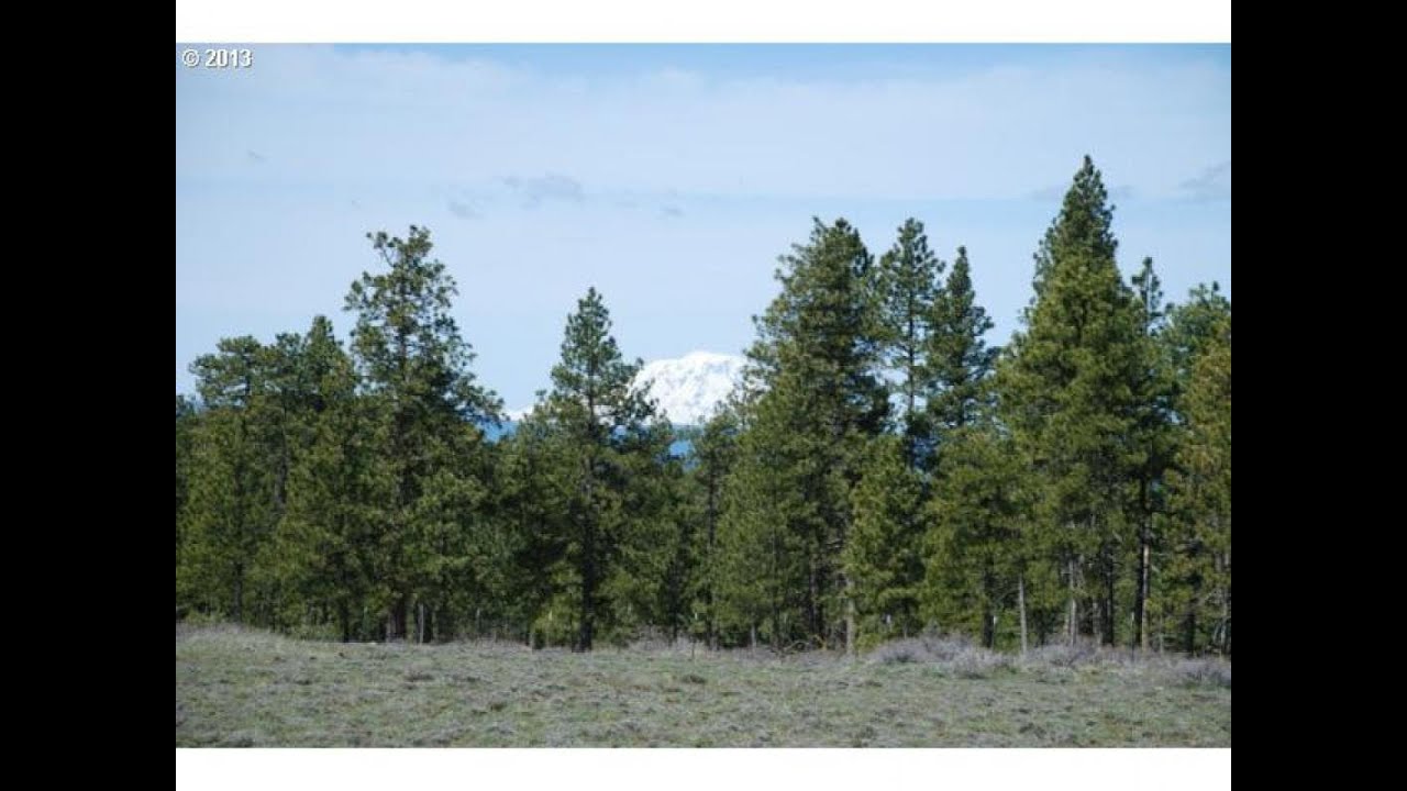 Lots And Land for sale - Pine Creek RD 8, Bickleton, WA 99322