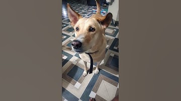 #funny #comedy #comedyfilms #fun #sorts #anilkumar-eg9rd# #comdeyclub #trending #viralvideo