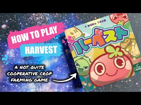 Boardgaimz – Rules Teach