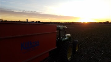 Combining Soybeans In The Evening